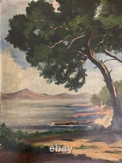 Old Oil Painting Landscape of a Fauvist Seaside with Pine Trees and Parasol by Seyssaud