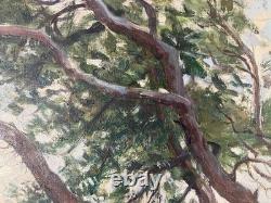 Old Oil Post-Impressionist Landscape Basque Country Calanques Marseille