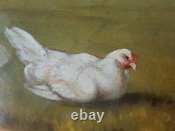 Old Painting Chickens And Rooster Painting Oil Antique Painting Dipinto Ölgemälde