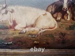 Old Painting, Cows, Oil on Canvas 19th Century Signed CARLOS