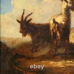 Old Painting Goats Painting Sheep Landscape Oil On Canvas 18th Century