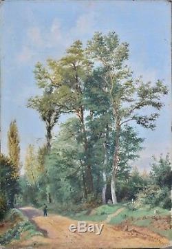 Old Painting, Oil On Paper. Xix, School Of Barbizon. Landscape At The Path