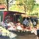 Old Painting Oil On Canvas / Flower Market / Signed / Lefèvre Neel 1986