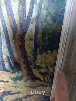 Old Painting Oil on Canvas Nature Forest and its Torrent Signed Side