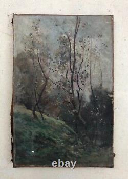 Old Painting Signed, Arborous Landscape Animated, Oil On Canvas, Painting, Late 19th