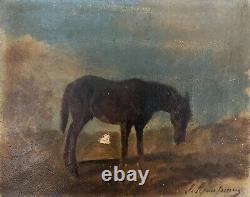 Old Painting Signed, Russian School, Horse, Oil On Paper, Painting, 19th