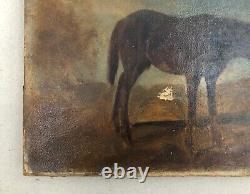 Old Painting Signed, Russian School, Horse, Oil On Paper, Painting, 19th