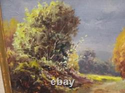 Old oil on canvas rustic landscape painting, signature to identify