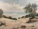 Old Oil On Canvas, Signed, View Of Dunes, Landes, Bordeaux, Basque