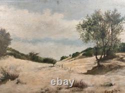 Old oil on canvas, signed, view of dunes, Landes, Bordeaux, Basque