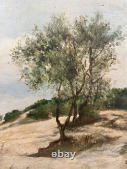 Old oil on canvas, signed, view of dunes, Landes, Bordeaux, Basque