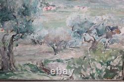 Old oil painting on canvas, Provençal landscape, olive trees, dimensions 73 x 50 cm