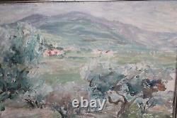 Old oil painting on canvas, Provençal landscape, olive trees, dimensions 73 x 50 cm