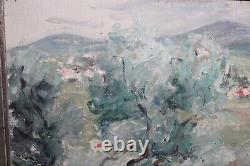 Old oil painting on canvas, Provençal landscape, olive trees, dimensions 73 x 50 cm