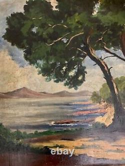 Old painting in oil of a fauvist seascape with a parasol pine by Seyssaud