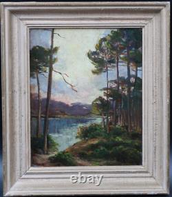 Old painting oil on canvas, Landes pines, Arcachon basin