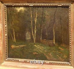 Old signed painting. Landscape Under Wood. Oil painting on canvas.