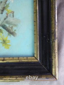 PAIR OF OILS ON PANELS. Antique. BIRDS ON THE BRANCHES