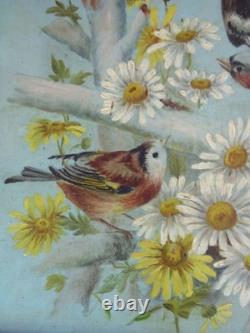 PAIR OF OILS ON PANELS. Antique. BIRDS ON THE BRANCHES