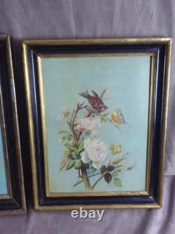 PAIR OF OILS ON PANELS. Antique. BIRDS ON THE BRANCHES
