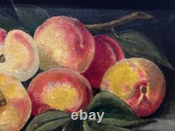 Painting Canvas Frame 19th Century Monog. A. M Still Life with Rare Old Peaches