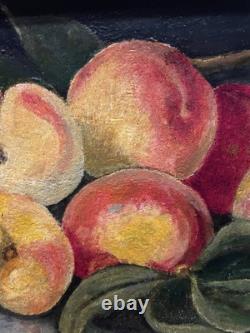 Painting Canvas Frame 19th Century Monog. A. M Still Life with Rare Old Peaches