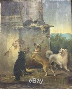 Painting Old Oil On Canvas Animals Dogs Cats Nineteenth