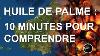 Palm Oil 10 Minutes To Understand