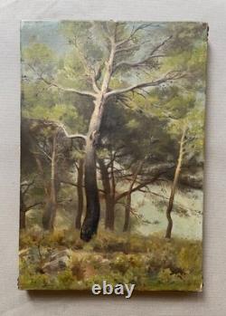 Pins, oil on canvas, antique painting, late 19th or early 20th century