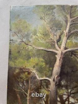 Pins, oil on canvas, antique painting, late 19th or early 20th century