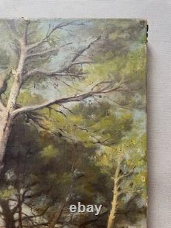 Pins, oil on canvas, antique painting, late 19th or early 20th century