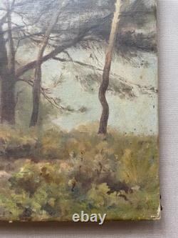 Pins, oil on canvas, antique painting, late 19th or early 20th century