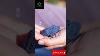 Qunqing: The Ancestral Blue Of Oil Painting