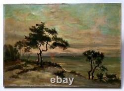 Signed Old Painting, Oil On Canvas, Southwest Coastal Landscape, Dune, 19th