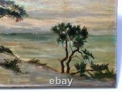 Signed Old Painting, Oil On Canvas, Southwest Coastal Landscape, Dune, 19th