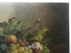 Signed Old Painting, Oil On Canvas, Still Life With Fruit, Early 20th Century