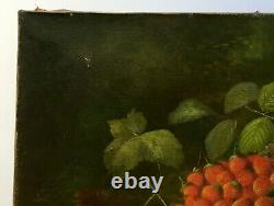 Signed Old Painting, Oil On Canvas, Still Life With Fruit, Late 19th Century