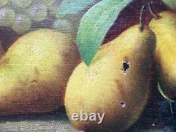 Signed Old Painting, Oil On Canvas, Still Life With Fruit, Late 19th Century