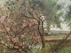 Small Old Painting Oil on Canvas French School of Barbizon Countryside 19th Century