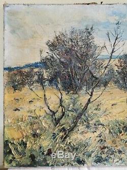 Table Former Oil On Canvas Signed, Provencal Landscape, Garrigue 40s 50
