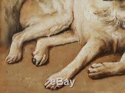 Table Old Oil On Canvas Animals Dogs Monkey Parrot J. Cleck XIX
