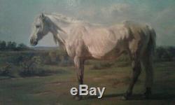 Table Old. Oil On Canvas. White Horse. French School. End 19th