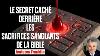 The 7 Sprinklings Of Blood The Secrets Of The Blood Of Christ Revealed In The Old Testament