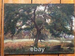 Tree and Meadow Old oil painting on wood, signed