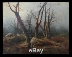 Undergrowth Landscape Old Oil On Panel Signed Lower Right