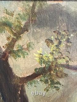 Ancien Tableau Huile sur Bois Femme en Forêt Barbizon Cheintreille 19ème