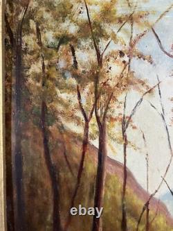 Ancienne Huile sur Panneau Paysage Vue d'une Forêt en automne Arbres Barbizon