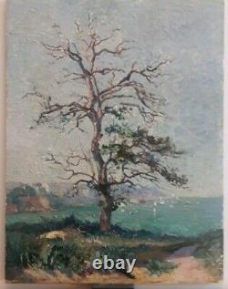 Ancienne huile sur bois, arbre, paysage, bord de mer