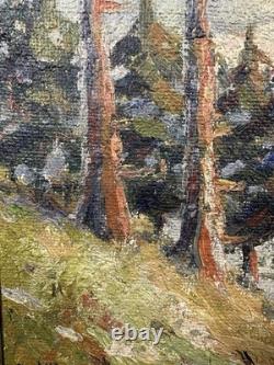 Ancienne huile sur toile signée paysage de montagnes Ecole Suisse ou Allemande