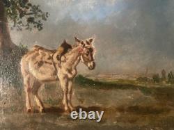 Belle Peinture Huile Portrait Sur Toile ne Art Ancien 1900 XIXE Animal Old